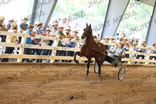 JHM_0734