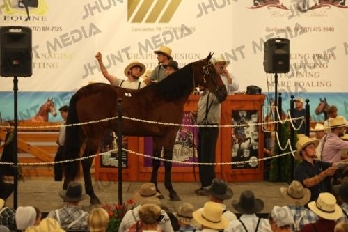JHM_0802
