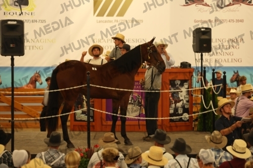 JHM_0803