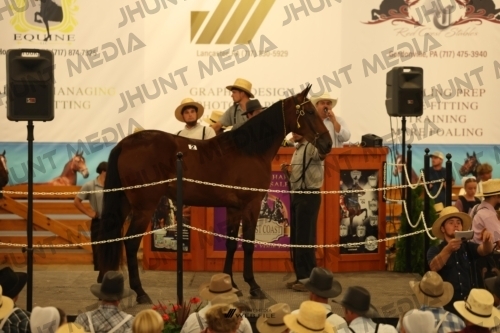 JHM_0805