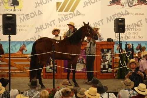 JHM_0806