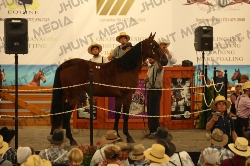 JHM_0807