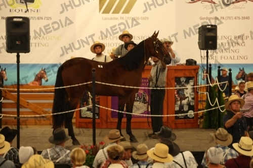 JHM_0808