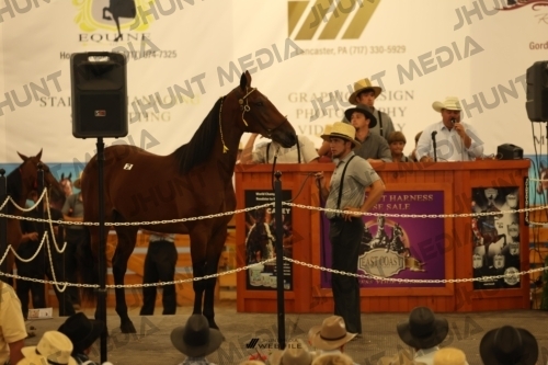 JHM_0810