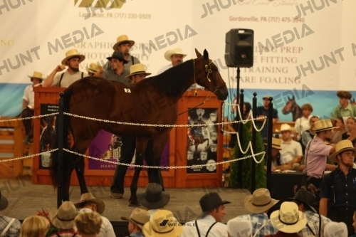 JHM_0811
