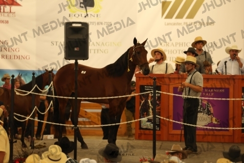 JHM_0819
