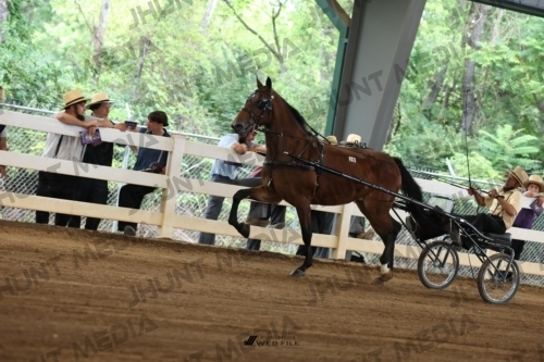 JHM_0528