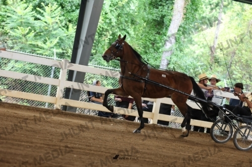 JHM_0529