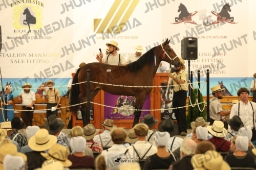 JHM_1118