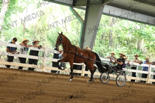 JHM_0449