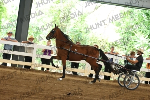 JHM_0452