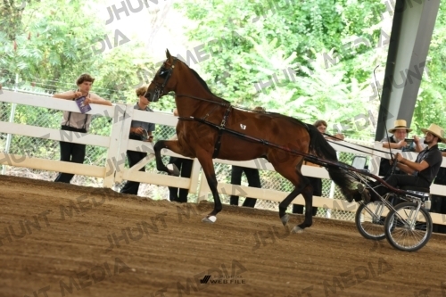 JHM_0465