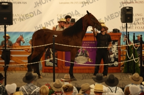 JHM_0831