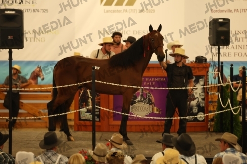 JHM_0832