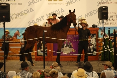 JHM_0833