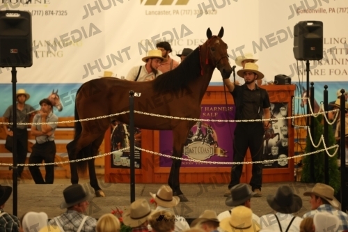 JHM_0834