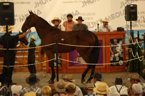 JHM_0837