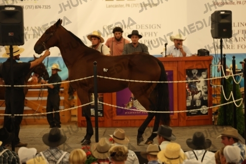 JHM_0838