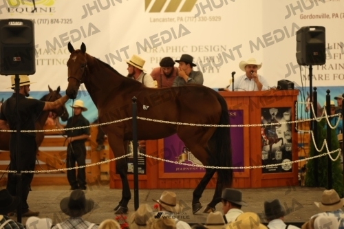 JHM_0840