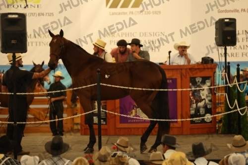 JHM_0841