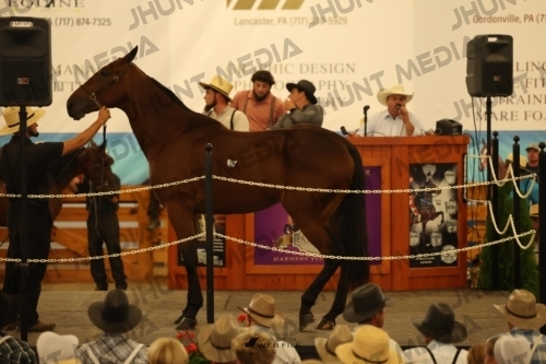 JHM_0845