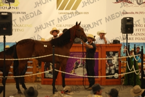 JHM_0846