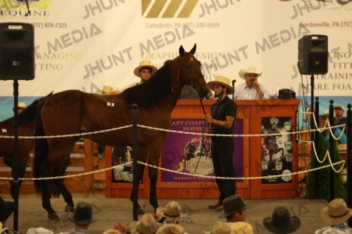 JHM_0849