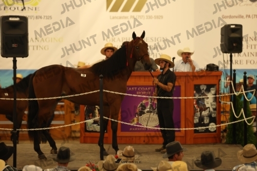 JHM_0850