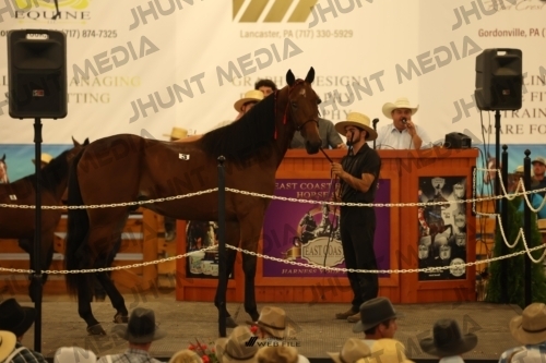 JHM_0851
