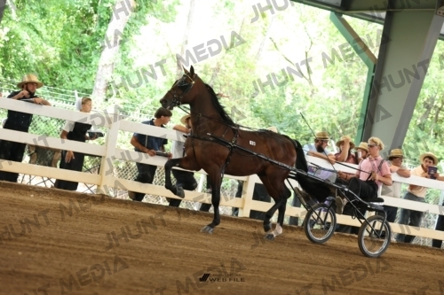 JHM_0456