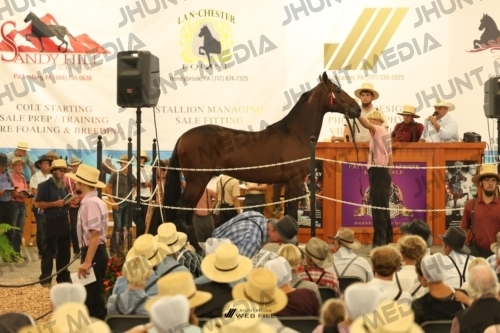 JHM_1110