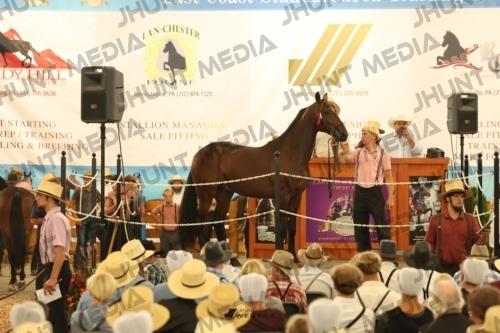 JHM_1111