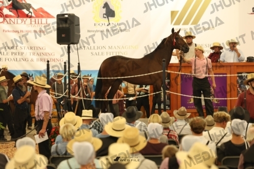 JHM_1115