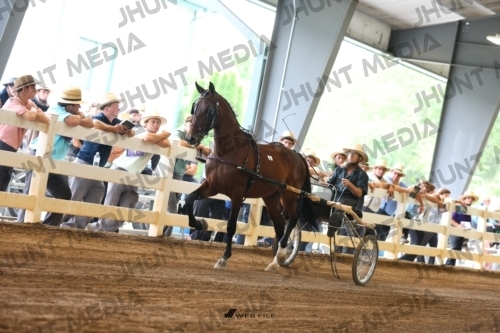 JHM_0043