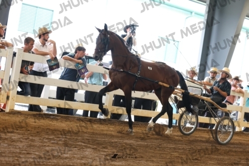 JHM_0045
