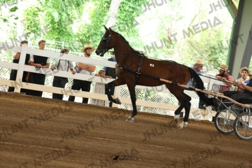 JHM_0046