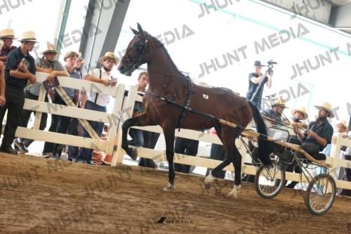 JHM_0048
