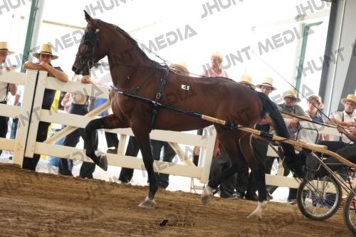 JHM_0049