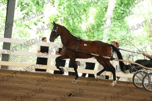 JHM_0051