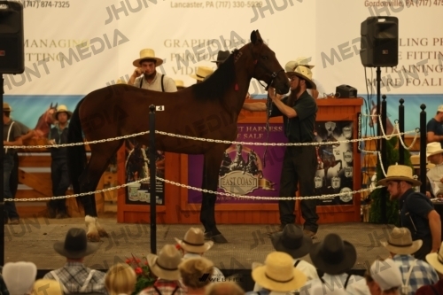 JHM_0854
