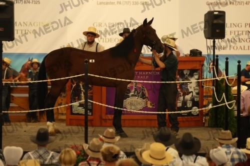 JHM_0855