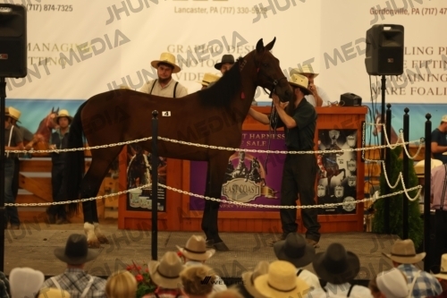 JHM_0856