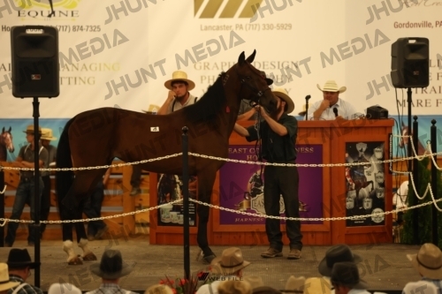 JHM_0863