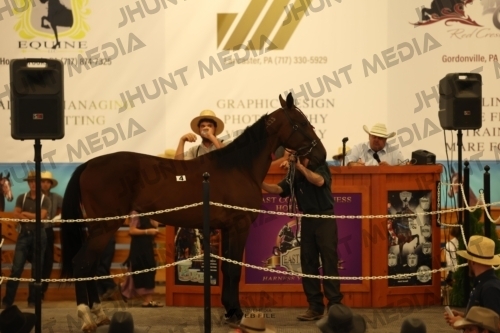 JHM_0869