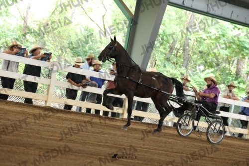 JHM_0395