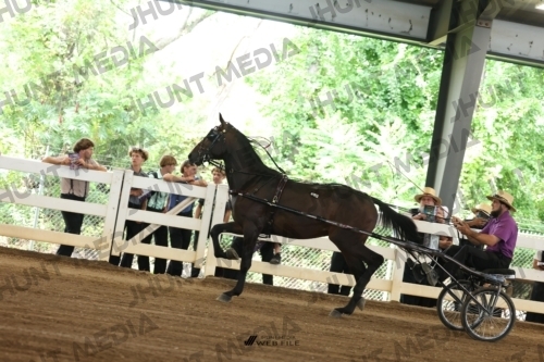 JHM_0407