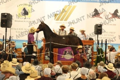 JHM_1101