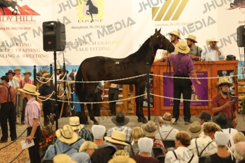 JHM_1102