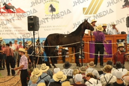 JHM_1105
