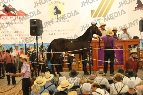 JHM_1106